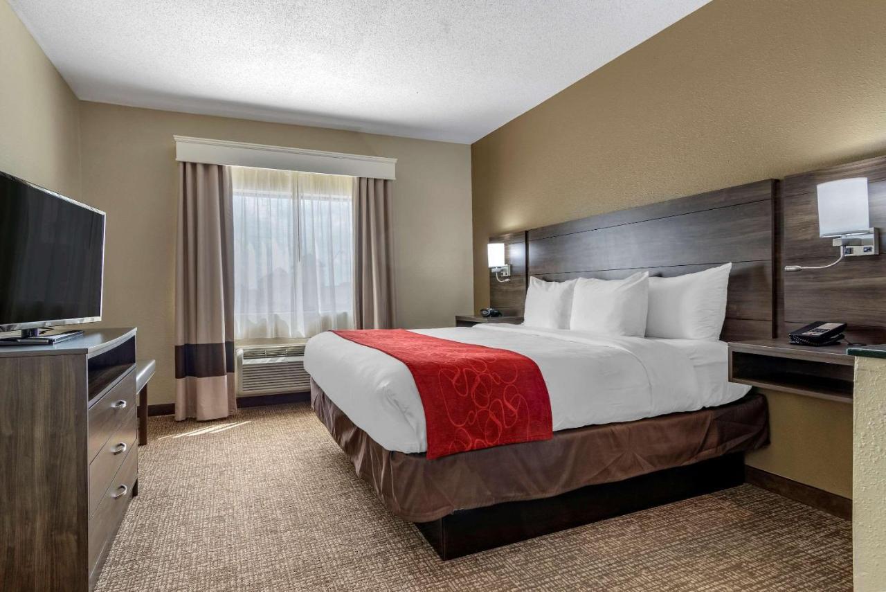 Comfort Suites Near Robins Air Force Base Warner Robins Buitenkant foto